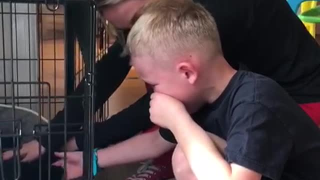 Boy Sheds Tears of Joy over New Puppy