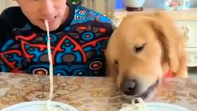 I_won_🤩😂🤩😂🤩😂🤩#shorts(1080p