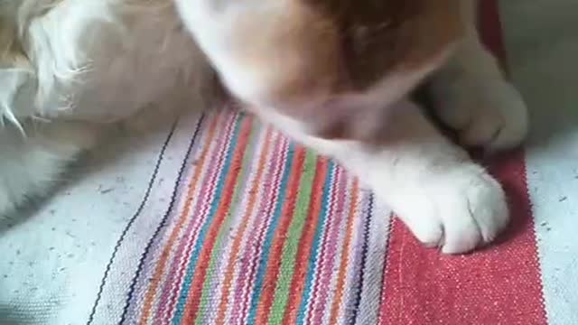 Silly guy, playing every day