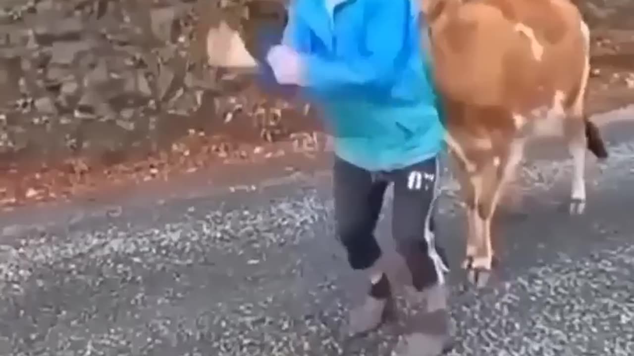 Funny videos that I found on internet \\ part 7