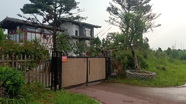 The house is surrounded by vegetation