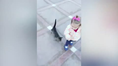 Funniest !! dog and 😸cats- awesome funny 😇 animal vidio !! 😸 funny dog vidios
