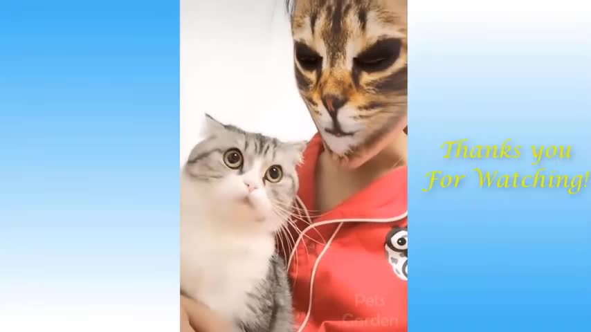 Cute Pets And Funny Animals Compilation #14- Funny Animal'life