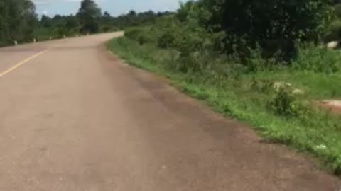 Street view in Cambodia