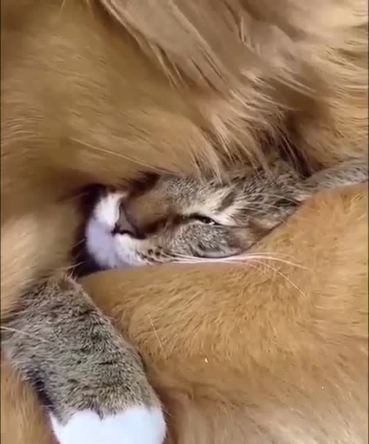 Warm and reliable:Тепло и надежно