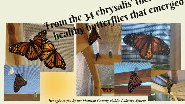 Janet Sayre Butterfly Garden - Perry GA