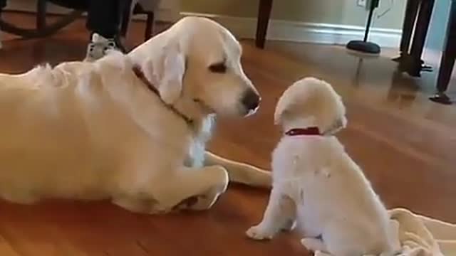 Mom, play with me