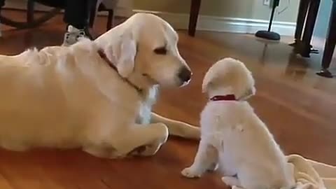 Mom, play with me