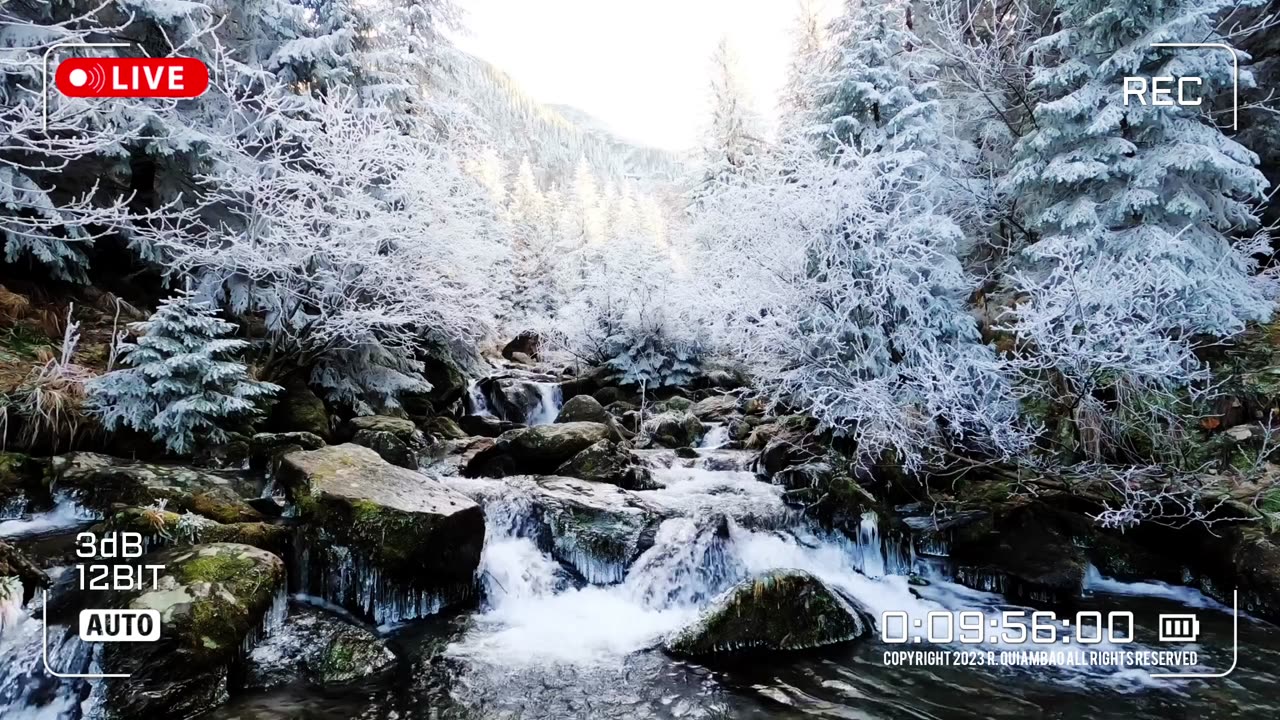 Nature Therapy | Asmr Video No. 084🌈