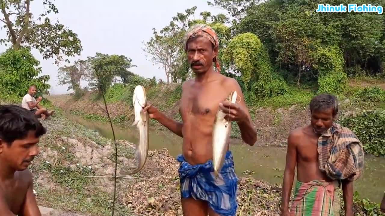 Long Net Fishing by Village People _ Amazing Catching Wallago attu Catfish Fishing With Long Net