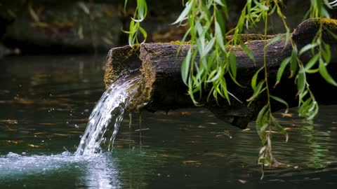 Fountain