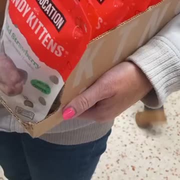 All over the world there are traitors. get rid of them now, someone authorized it, right?