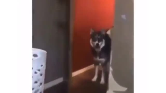 He is angry