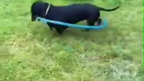 There is a Solution to Every Problem #shorts #viral #shortsvideo #video