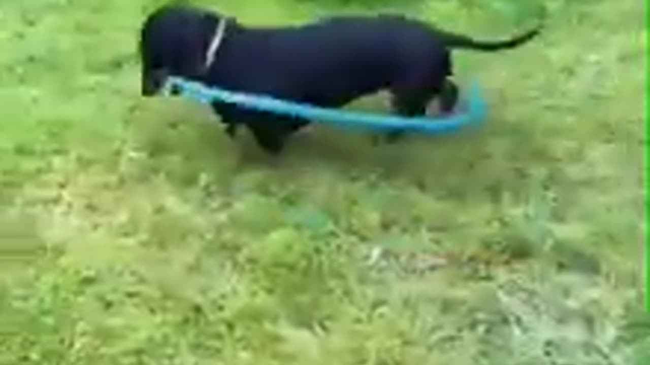 There is a Solution to Every Problem #shorts #viral #shortsvideo #video