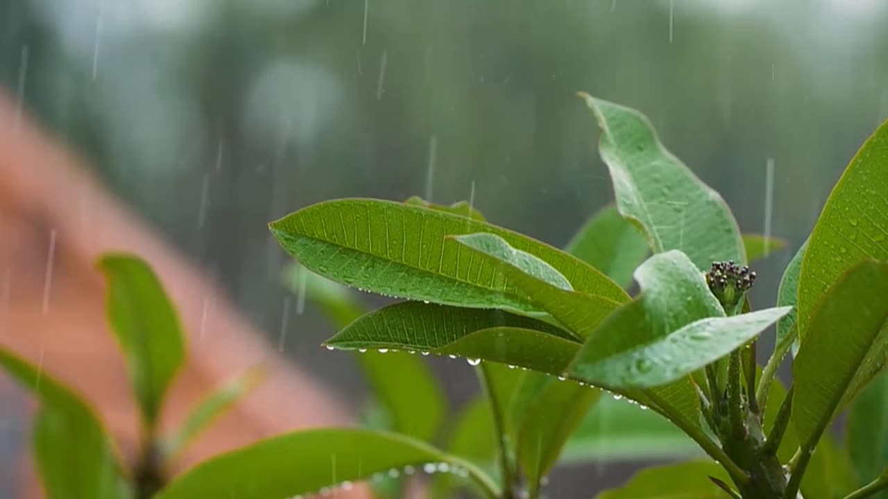 Rain & Snow on Car Sound of Sleep Helps with Sleep, Study, Meditation, PTSD, Insomnia & Tinnitus 2