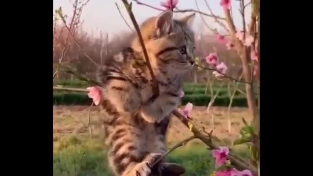 Look again, look again, I'll bite you
