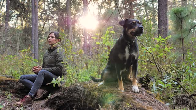 Woman and her dog in a forest.