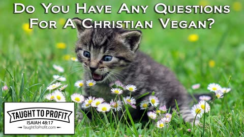 Do You Have Any Questions For A Christian Vegan？