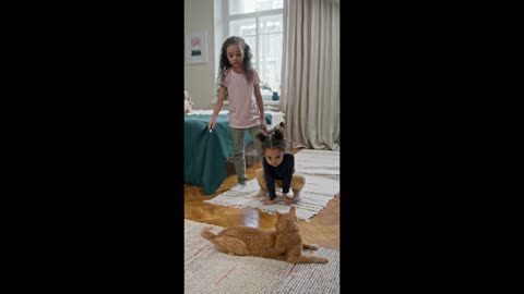 kids Playing With Cats