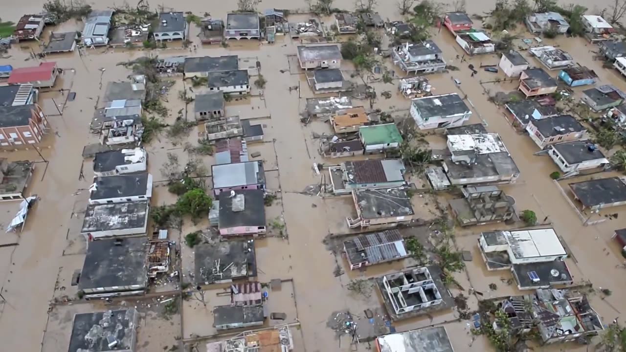Navy Beach Masters Clearing The Way in Puerto Rico