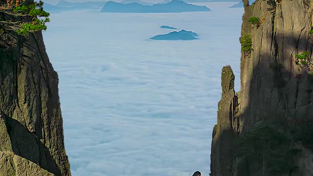 Wonderland Cloud Sea