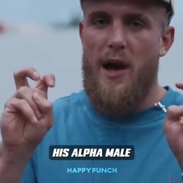 Jake Paul GOES OFF On Andrew Tate 👀