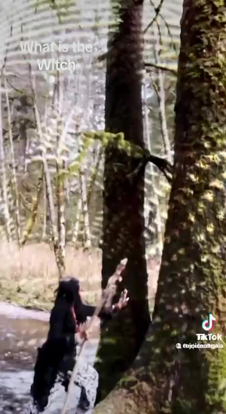 The witch hunts were really…