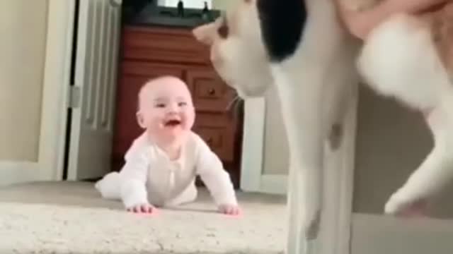 Baby and Cats Playing Together - Funny Baby and Pets Moments