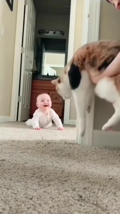 Baby and Cats Playing Together - Funny Baby and Pets Moments