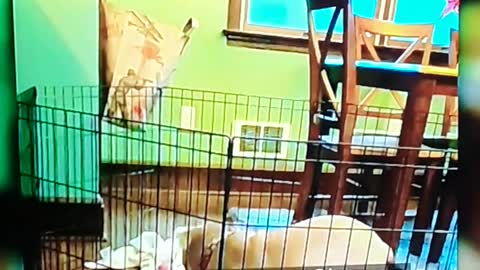 Crazy funny