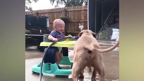 Babies playing with dogs,babies and pets video 32#@