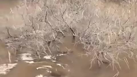 WAKENED VIDEO ALERT