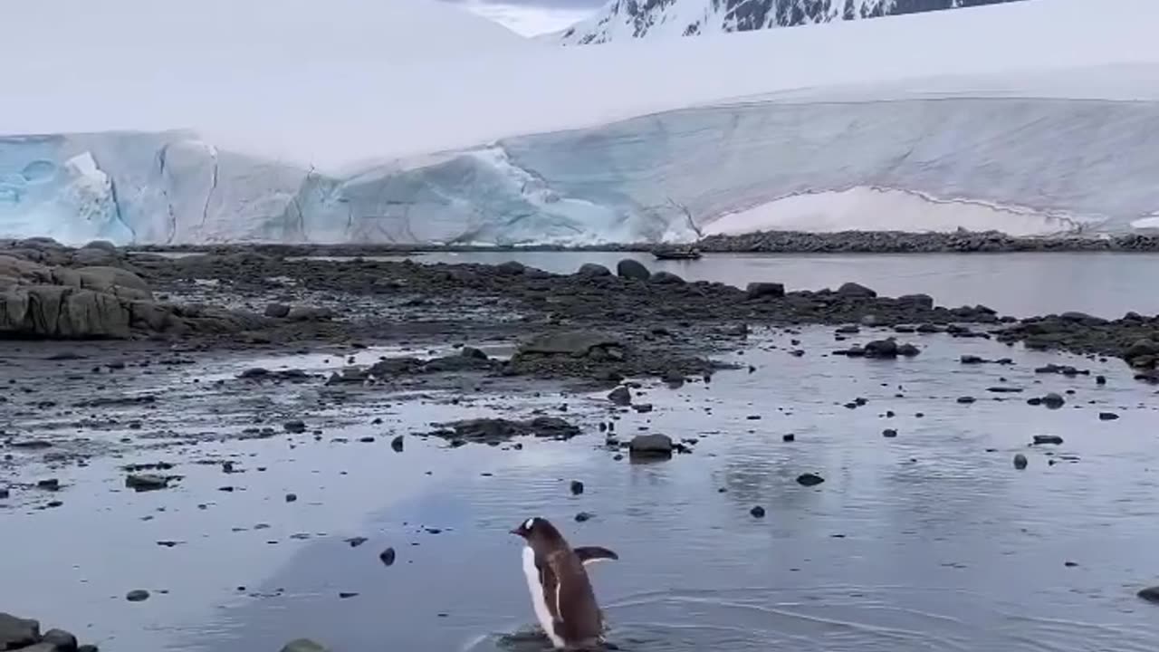 Beauty of Antarctica 🇦🇶