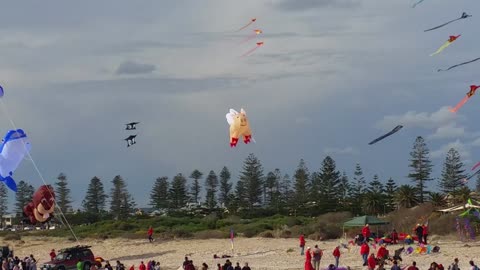 2019-04-21 Semaphore Kite Festival 01