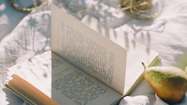 book-and-clips-on-the-picnic-blanket