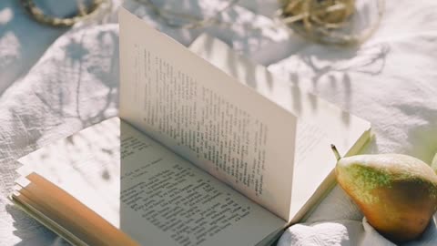 book-and-clips-on-the-picnic-blanket