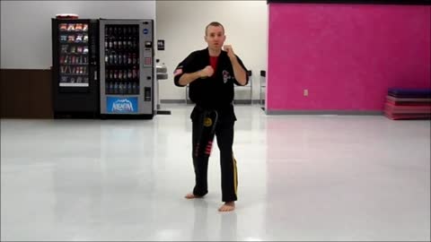 Basic Skillz Orange Belt - White Stripe