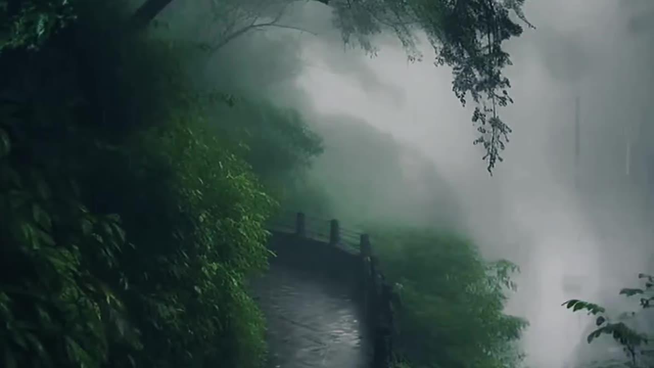 Rain