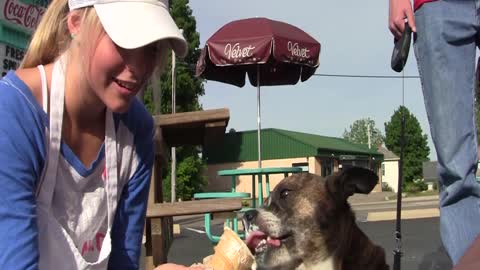 Dog Eats Ice Cream