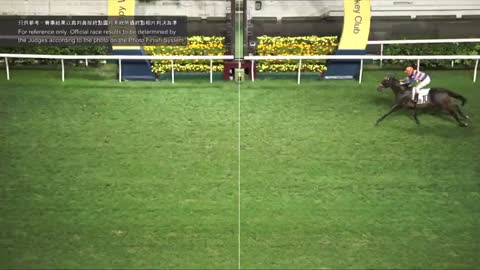 Horce_Race_2022051106_English