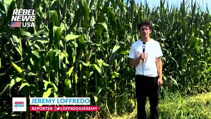 Amish farm under threat from U.S. federal govt for refusal to abandon traditional farming practices