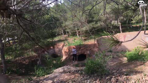 Scary Caves in the wood