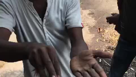 Baby Chicken seller wondering all...