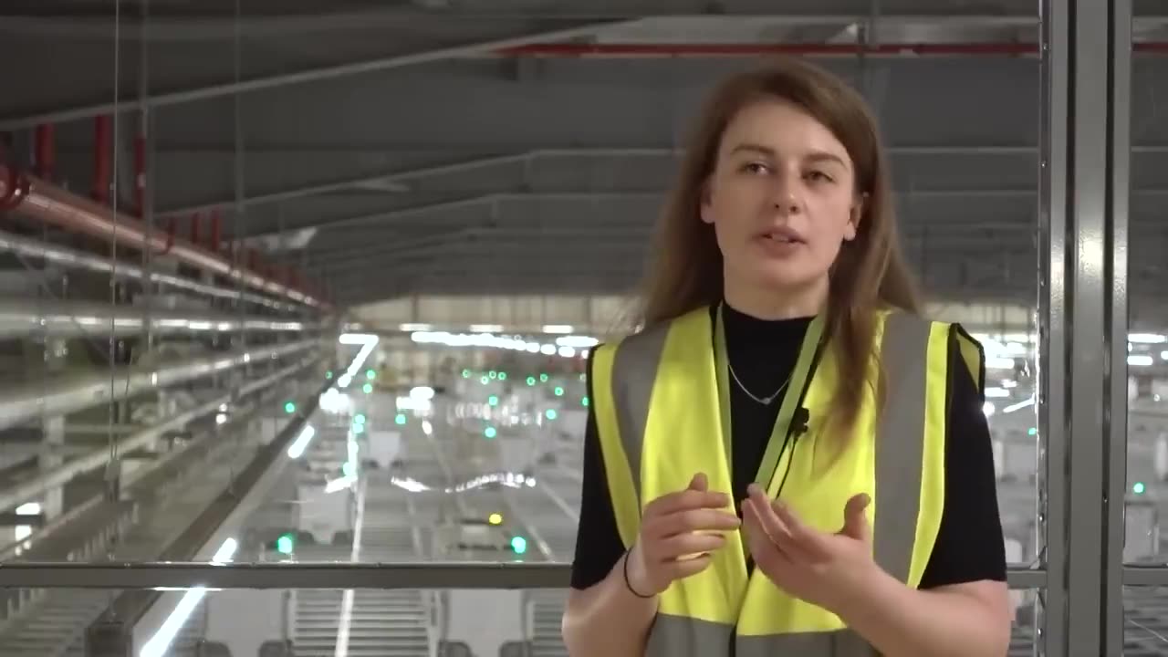 The Hive - The Future of "Grocery Shopping"