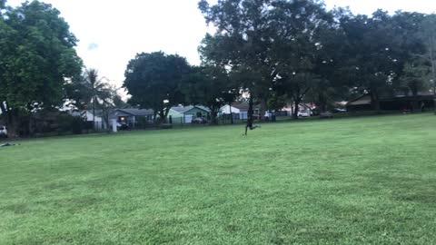 UPCOMING TRACK STAR KEBRA BROWN,Class of 2026