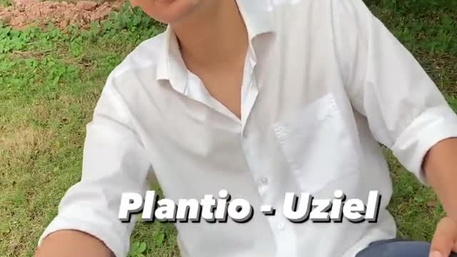 Plantio