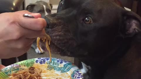 Yummy Ghetti