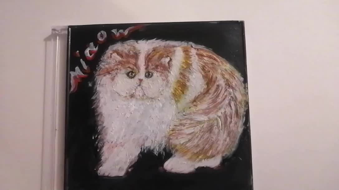 Persian cat