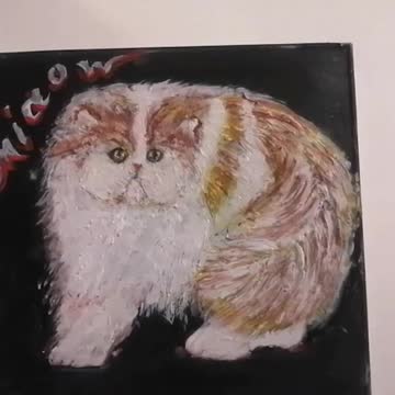 Persian cat